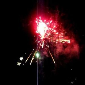 Meet your Posher, Bonnie